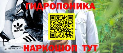 СК Донецк
