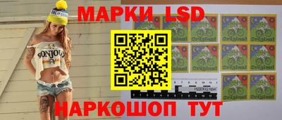 СК Донецк