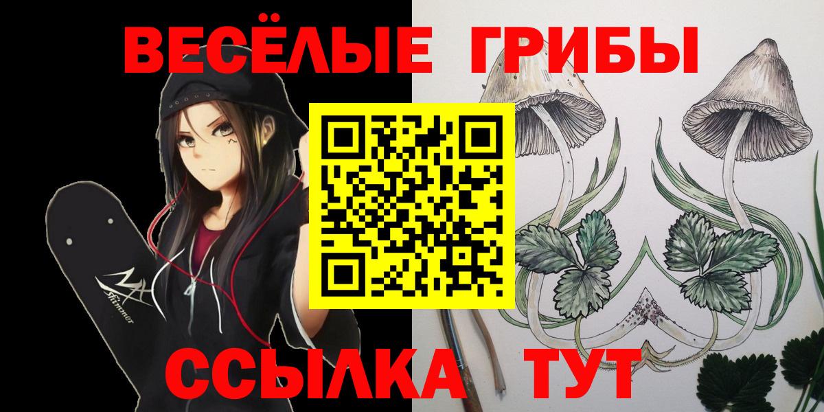 Псилоцибиновые грибы мухоморы  Вход с VPN  Малгобек 